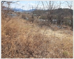  2026Ÿ��10018 �泲 ���ؽ� �Ѹ��� ���긮 208-3      ����(��1)���