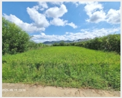  2026Ÿ��10180 �泲 â���� ��â�� ���� ������ 17-6     ����(��)���