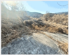  2026Ÿ��10011 �泲 ���ر� ���� ������ 854      ����(��1)���