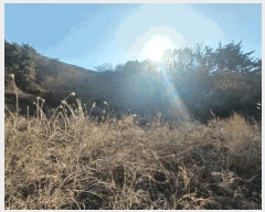  2026Ÿ��10011 �泲 ���ر� ���� ������ 854      ����(��1)���