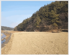 2026Ÿ��10035 �泲 ���ر� ������ ������ 1027      ����(��)���