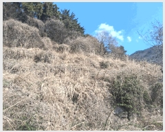  2026Ÿ��10084 �泲 ���ر� �̵��� ������ 1434      ����(��)���