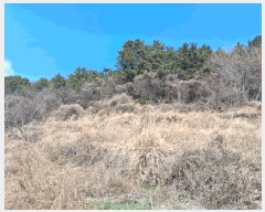  2026Ÿ��10084 �泲 ���ر� �̵��� ������ 1434      ����(��)���