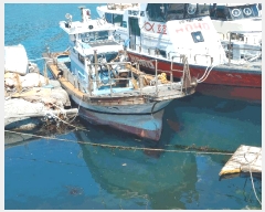  2026Ÿ��10297 �泲 �뿵�� �볲�� ȭ�︮ 1130-1      ���ڰ��