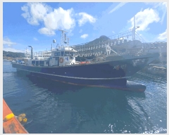  2026Ÿ��10188 �泲 �뿵�� ����� ������ 741-2      ���ڰ��