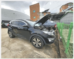  2026Ÿ��30313  �������