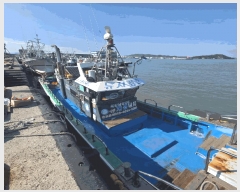  2026Ÿ��50023 ���� �žȱ� ������ ������ 20-10      ���ڰ��