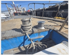  2026Ÿ��50023 ���� �žȱ� ������ ������ 20-10      ���ڰ��