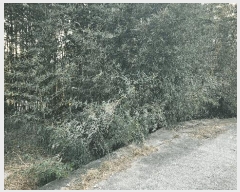  2026Ÿ��50006 ���� ���ʱ� ���Ǹ� ������ 472      ����(��1)���