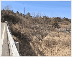  2026Ÿ��50108 ���� ���ﱺ �ο��� ��ݸ� 848-1      ����(��)���