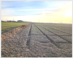  2026Ÿ��16 ���� ������ ������ ��ȸ� 1602-8      ����(��)���