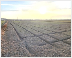  2026Ÿ��16 ���� ������ ������ ��ȸ� 1602-8      ����(��)���