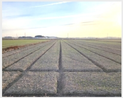  2026Ÿ��16 ���� ������ ������ ��ȸ� 1602-8      ����(��)���