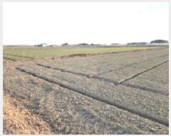  2026Ÿ��16 ���� ������ ������ ��ȸ� 1602-8      ����(��)���