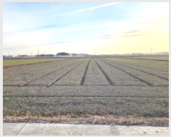  2026Ÿ��16 ���� ������ ������ ��ȸ� 1602-8      ����(��)���