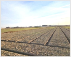  2026Ÿ��16 ���� ������ ������ ��ȸ� 1602-8      ����(��)���