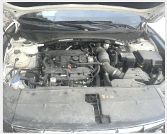  2026Ÿ��20198 ��� �����ֽ� ������ ������81���� 23 �Ѿ繰��     �������