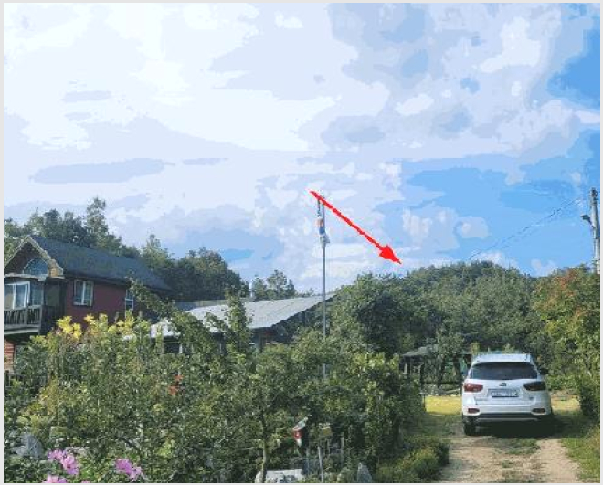 ÅäÁö(ÀÓ¾ß) »çÁø1 | °í¼º±º Á×¿Õ¸é ¾ßÃ̸® | 2025Ÿ°æ287 | ÅäÁö(ÀÓ¾ß)°æ¸Å