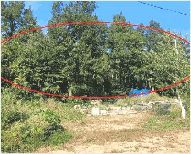 ÅäÁö(ÀÓ¾ß) »çÁø1 | °í¼º±º Á×¿Õ¸é ¾ßÃ̸® | 2025Ÿ°æ287 | ÅäÁö(ÀÓ¾ß)°æ¸Å