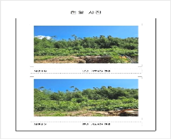 ÅäÁö(Àü) »çÁø1 | ½Å¾È±º ÆÈ±Ý¸é À̸ñ¸® | 2025Ÿ°æ462 | ÅäÁö(Àü)°æ¸Å