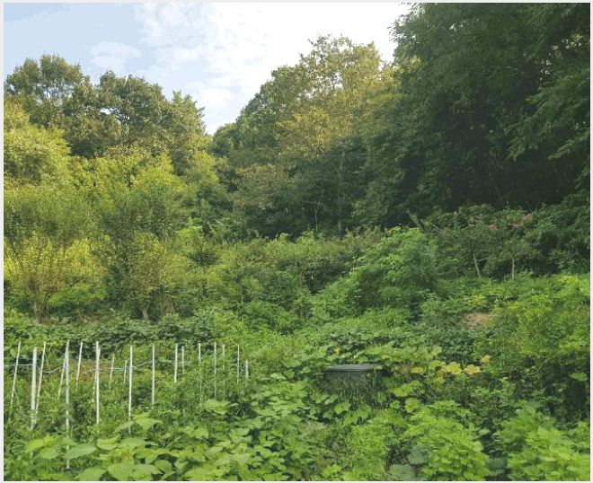 ÅäÁö(´ä) »çÁø1 | ÁøÁֽà Á¤ÃÌ¸é ¿¹»ó¸® | 2025Ÿ°æ861 | ÅäÁö(´ä)°æ¸Å