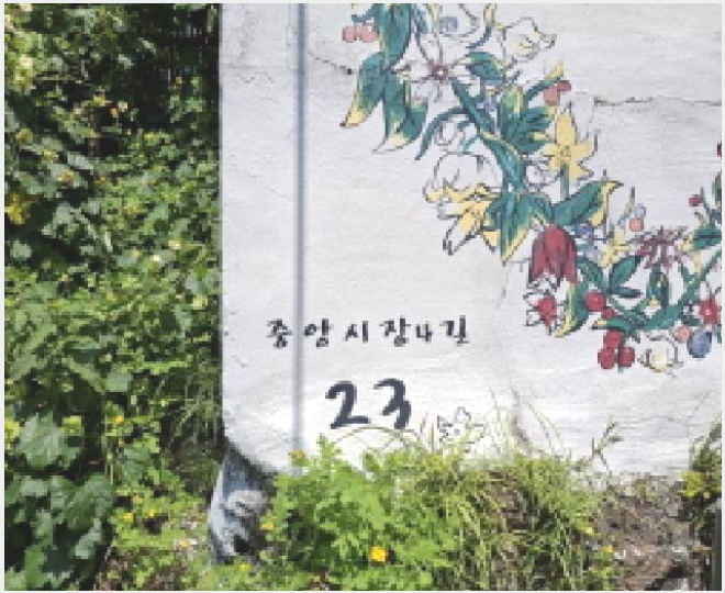 ´Üµ¶ÁÖÅÃ,»ó°¡ÁÖÅà »çÁø1 | Å뿵½Ã ÅÂÆòµ¿ 447 | 2025Ÿ°æ21574 | ´Üµ¶ÁÖÅÃ,»ó°¡ÁÖÅðæ¸Å