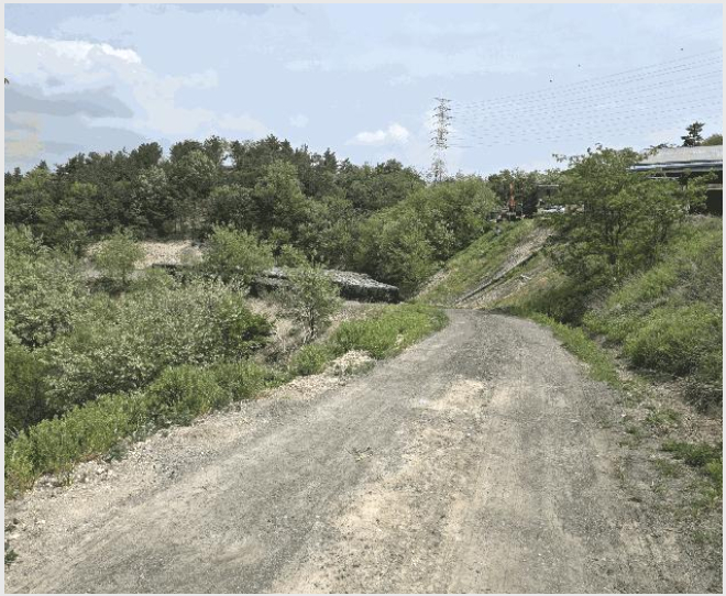ÅäÁö(ÀÓ¾ß) »çÁø1 | Æ÷Ç׽à ºÏ±¸ ÈïÇØÀ¾ | 2025Ÿ°æ3693 | ÅäÁö(ÀÓ¾ß)°æ¸Å