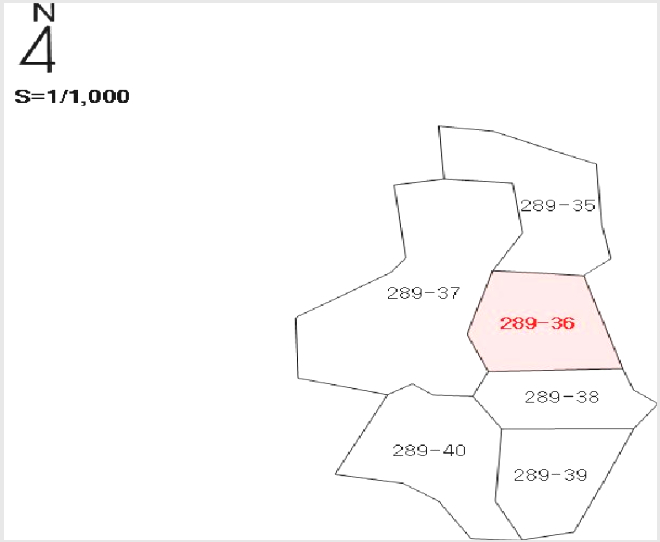 ÅäÁö(Àü) »çÁø1 | ³²¿ø½Ã »ç¸Å¸é ¿ùÆò¸® | 2025Ÿ°æ1168 | ÅäÁö(Àü)°æ¸Å