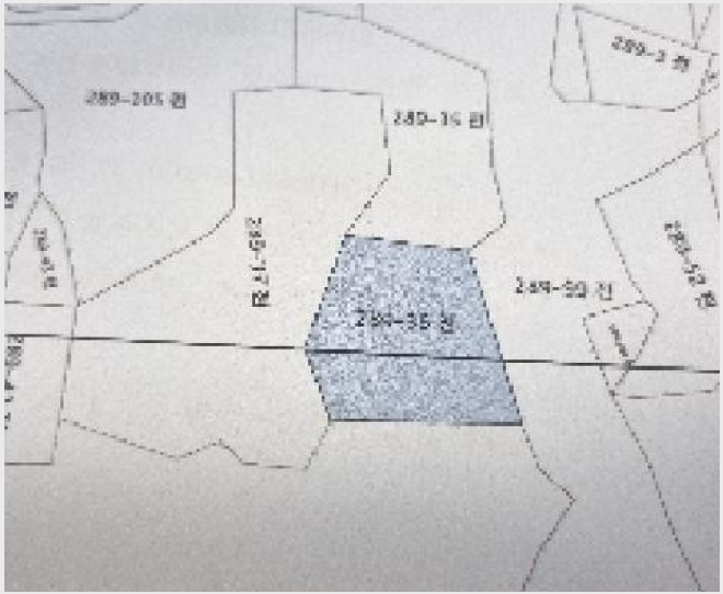 ÅäÁö(Àü) »çÁø1 | ³²¿ø½Ã »ç¸Å¸é ¿ùÆò¸® | 2025Ÿ°æ1168 | ÅäÁö(Àü)°æ¸Å