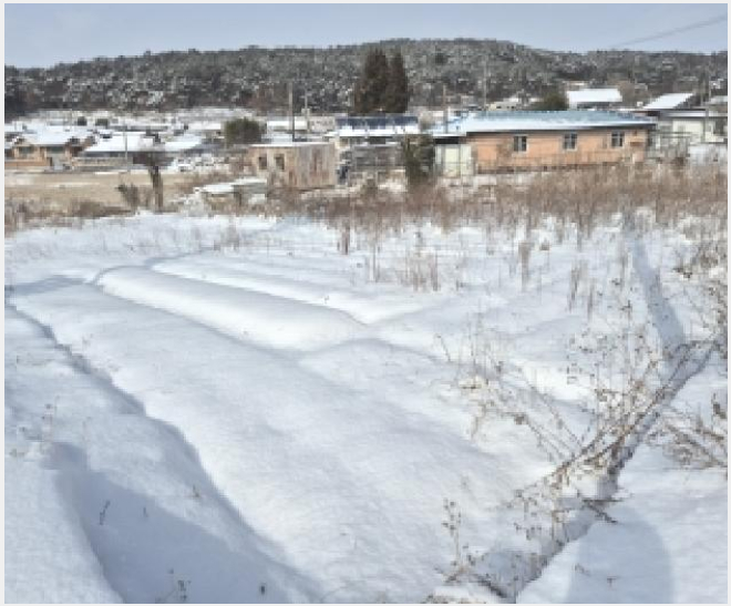 ÅäÁö(Àü) »çÁø1 | ¿µ±¤±º ±º¼¸é ³²Á׸® | 2026Ÿ°æ30109 | ÅäÁö(Àü)°æ¸Å