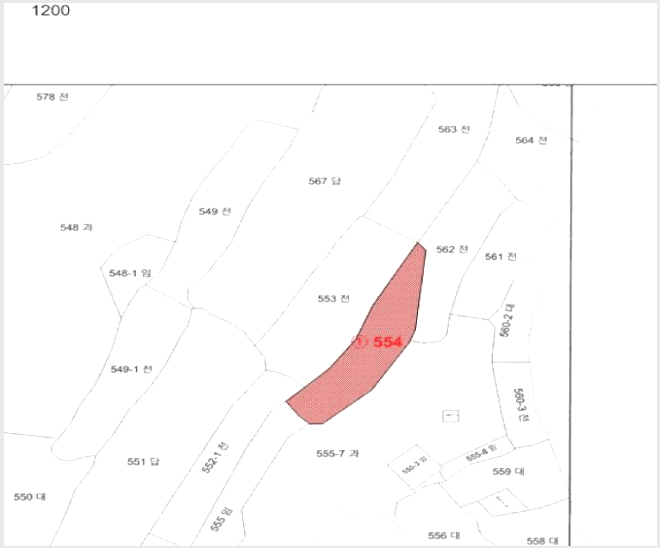 ÅäÁö(Àü) »çÁø1 | À强±º ³²¸é ºÐÇ⸮ | 2025Ÿ°æ34507 | ÅäÁö(Àü)°æ¸Å