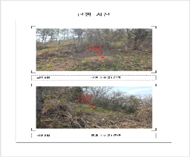 ÅäÁö(ÀÓ¾ß) »çÁø1 | ¹«¾È±º ÀÏ·ÎÀ¾ Àǻ긮 | 2025Ÿ°æ51011 | ÅäÁö(ÀÓ¾ß)°æ¸Å