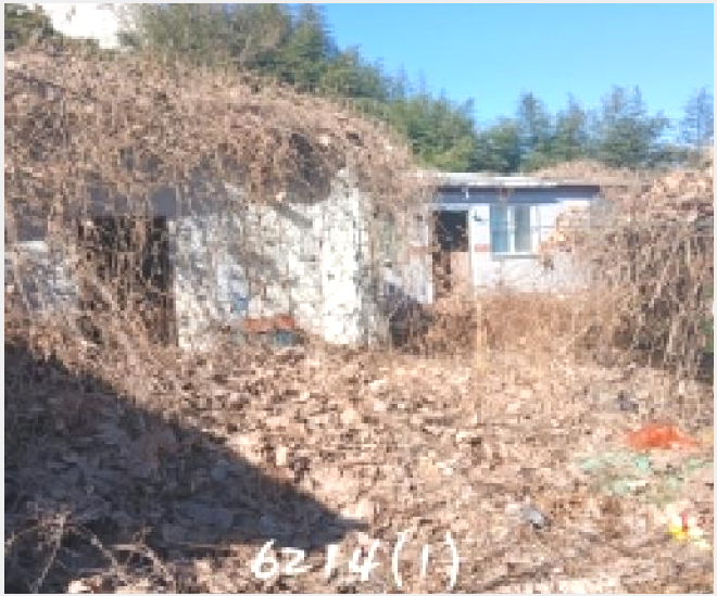 ÁÖÅà »çÁø1 | ±âÀ屺 ±âÀåÀ¾ µ¿ºÎ¸® | 2025Ÿ°æ6214 | ÁÖÅðæ¸Å