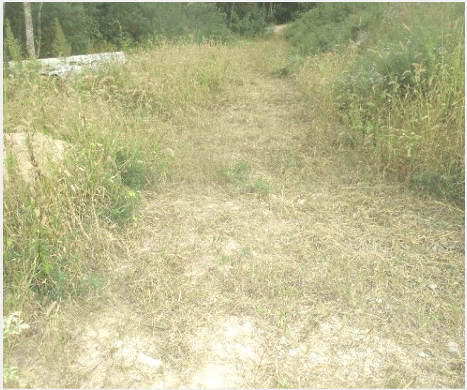ÅäÁö(´ä) »çÁø1 | °æÁֽà °µ¿¸é ¾È°è¸® | 2025Ÿ°æ10612 | ÅäÁö(´ä)°æ¸Å