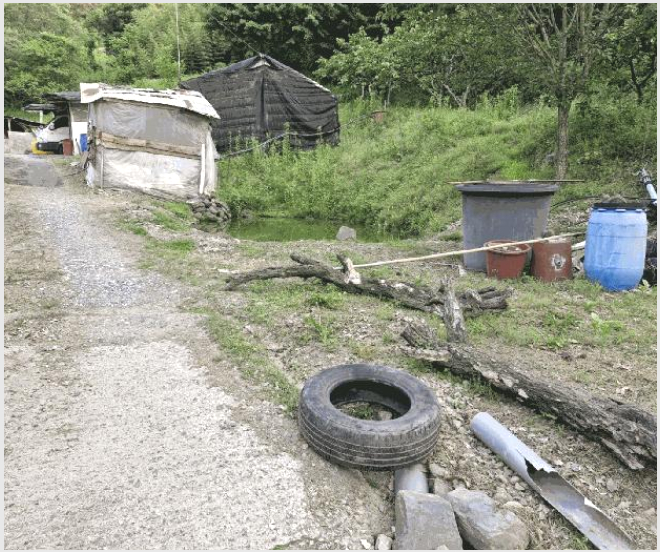 ÅäÁö(Àü) »çÁø1 | ¹Ð¾ç½Ã ¹«¾È¸é Á¤°î¸® | 2025Ÿ°æ1011 | ÅäÁö(Àü)°æ¸Å
