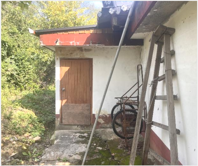 ÅäÁö(Àü) »çÁø1 | â³ç±º â³çÀ¾ ±³¸® | 2024Ÿ°æ2321 | ÅäÁö(Àü)°æ¸Å