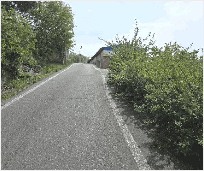 ÅäÁö(ÀÓ¾ß) »çÁø1 | Æ÷Ç׽à ºÏ±¸ ÈïÇØÀ¾ | 2025Ÿ°æ3693 | ÅäÁö(ÀÓ¾ß)°æ¸Å