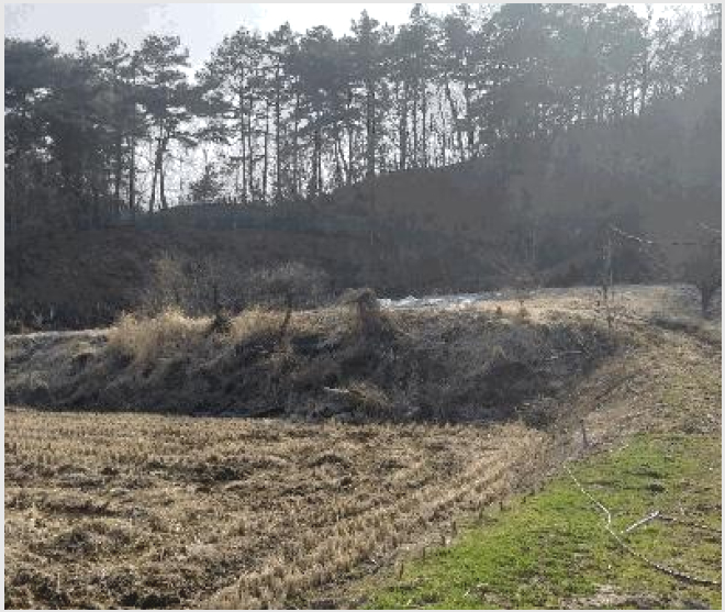 ÅäÁö(Àü) »çÁø1 | ûÁֽà »ó´ç±¸ ³²Àϸé | 2025Ÿ°æ1101 | ÅäÁö(Àü)°æ¸Å