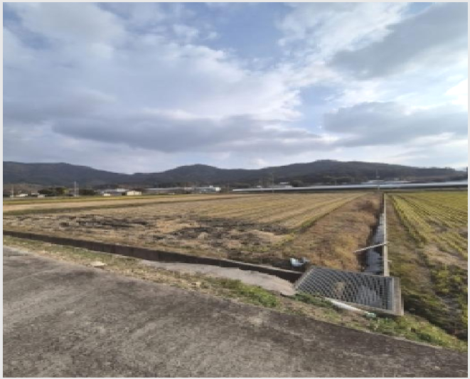 ÅäÁö(´ä) »çÁø1 | ´ã¾ç±º °í¼¸é °íÀ¾¸® | 2025Ÿ°æ34391 | ÅäÁö(´ä)°æ¸Å