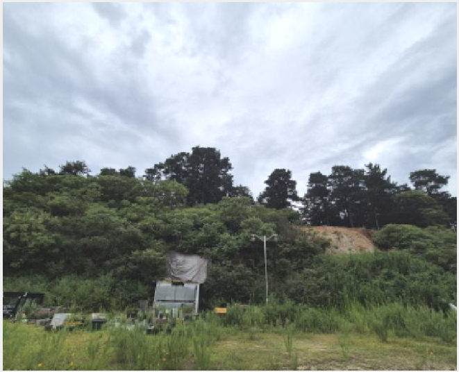 ÅäÁö(ÀÓ¾ß) »çÁø1 | À¯¼º±¸ Çϱ⵿ »ê3-14 | 2025Ÿ°æ502893 | ÅäÁö(ÀÓ¾ß)°æ¸Å