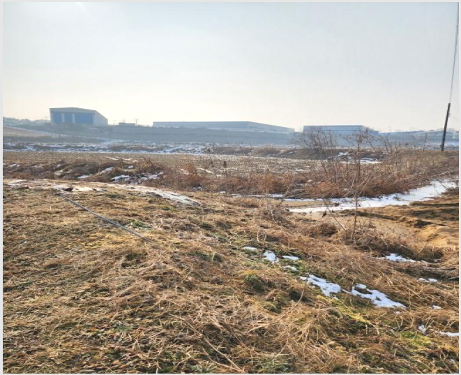 ÅäÁö(¹¦Áö) »çÁø1 | À½¼º±º »ï¼º¸é ´ëÁ¤¸® | 2023Ÿ°æ35141 | ÅäÁö(¹¦Áö)°æ¸Å