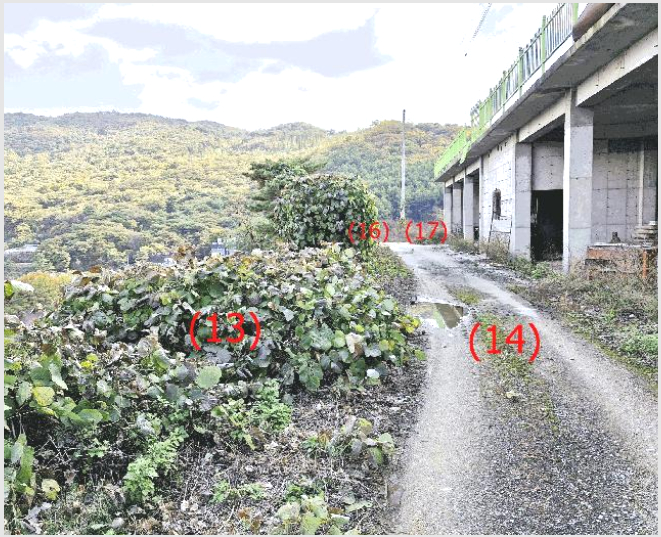 »ó°¡ÁÖÅà »çÁø1 | ¾çÁֽà ¹é¼®À¾ ±â»ê¸® | 2025Ÿ°æ73378 | »ó°¡ÁÖÅðæ¸Å