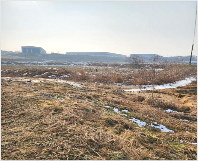 ÅäÁö(¹¦Áö) »çÁø1 | À½¼º±º »ï¼º¸é ´ëÁ¤¸® | 2023Ÿ°æ35141 | ÅäÁö(¹¦Áö)°æ¸Å