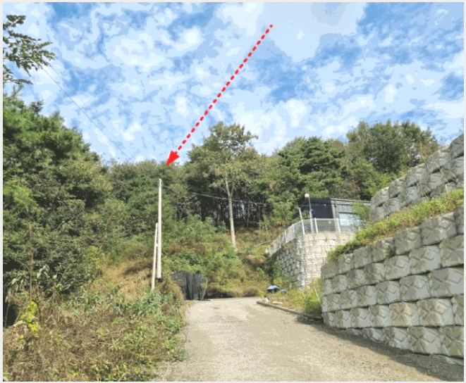 ÅäÁö(ÀÓ¾ß) »çÁø1 | À屺¸é µµ°è¸® 351-1 | 2025Ÿ°æ503492 | ÅäÁö(ÀÓ¾ß)°æ¸Å