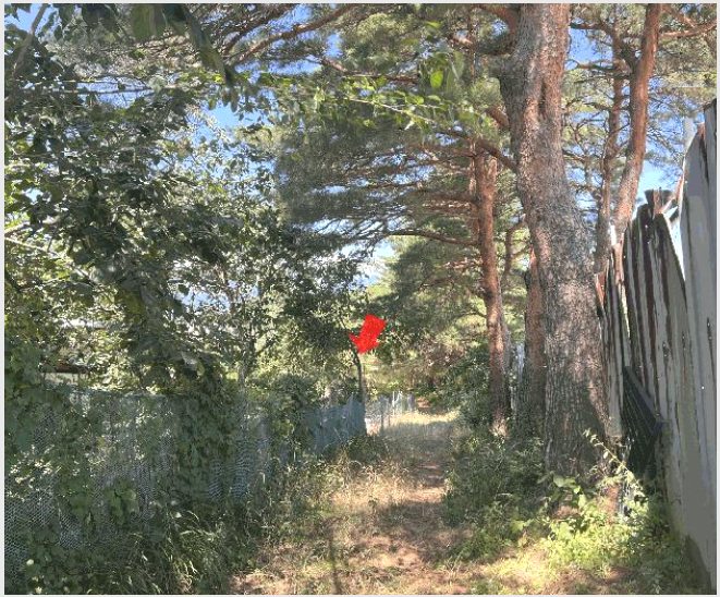 ÅäÁö(ÀÓ¾ß) »çÁø1 | ¼ÓÃʽà ³ëÇе¿ »ê80-7 | 2025Ÿ°æ10298 | ÅäÁö(ÀÓ¾ß)°æ¸Å