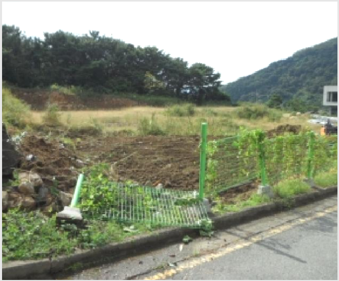 ÅäÁö(ÀÓ¾ß) »çÁø1 | ´Þ¼º±º À¯°¡À¾ ¾ç¸® | 2025Ÿ°æ31650 | ÅäÁö(ÀÓ¾ß)°æ¸Å