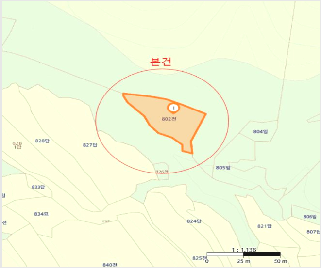 ÅäÁö(Àü) »çÁø1 | Æ÷Ç׽à ºÏ±¸ ½Å±¤¸é | 2025Ÿ°æ3664 | ÅäÁö(Àü)°æ¸Å