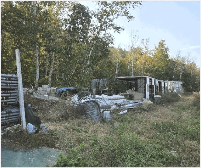 ÅäÁö(ÀÓ¾ß) »çÁø1 | °í¼º±º Á×¿Õ¸é ¾ßÃ̸® | 2025Ÿ°æ290 | ÅäÁö(ÀÓ¾ß)°æ¸Å