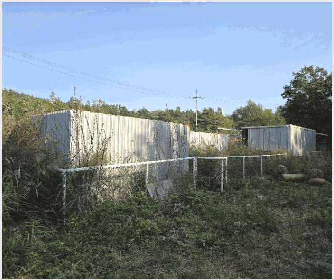 ÅäÁö(ÀÓ¾ß) »çÁø1 | °í¼º±º Á×¿Õ¸é ¾ßÃ̸® | 2025Ÿ°æ290 | ÅäÁö(ÀÓ¾ß)°æ¸Å