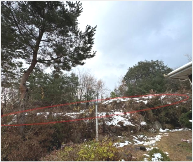 ÅäÁö(´ëÁö) »çÁø1 | ¾çÆò±º °ÇÏ¸é ¿Õ⸮ | 2024Ÿ°æ5191 | ÅäÁö(´ëÁö)°æ¸Å